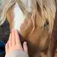 Аватар канала heart to heart