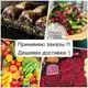 Аватар канала 🌷💐TOVARI5+_73🍇🥭