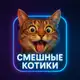 Аватар канала Смешные котики