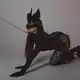 Аватар канала ✨Вий✨18+