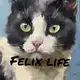 Аватар канала Felix (архив)