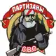 Аватар канала Партизаны СВО 🥷