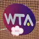 Аватар канала BIG WTA