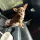 Аватар канала Makto channel