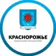 Аватар канала Мэр города Краснорожье