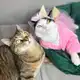 Аватар канала Супер Контики