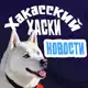 Аватар канала Новости | Хакасский хаски