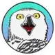 Аватар канала Биполярная сова 🦉 | Про зверят 🐾