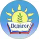 Аватар канала Педагог
