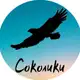Аватар канала СОКОЛИКИ