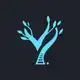 Аватар канала React Frontend | YeaHub