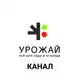 Аватар канала Канал Магазина "УРОЖАЙ"
