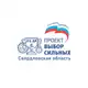Аватар канала «Выбор сильных» Свердловская область