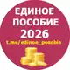 Аватар канала Единое пособие | KukuzyaRu | Пособия семье и детям