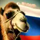 Аватар канала Россия на Ближнем Востоке