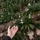 Аватар канала НЕжелезная леди