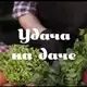 Аватар канала Удача на даче