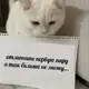Аватар канала Студенческая каша