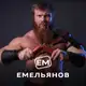 Аватар канала Компания «ЕМельянов»