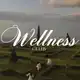 Аватар канала Wellness club🤸🏽 by Eleonora