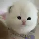 Аватар канала —