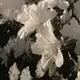 Аватар канала ︎︎ ︎