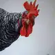 Аватар канала О!Блогеры