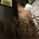 Аватар канала ler”nakoli