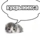 Аватар канала кукрыникса