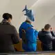 Аватар канала Колыбель эволюции Z
