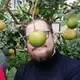 Аватар канала телега для ночьлега