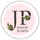 Аватар канала Juliya’s Plant’s 🌿