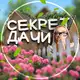 Аватар канала Секрет дачи | Дом и Сад