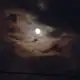 Аватар канала 𝒇𝒐𝒓𝒆𝒔𝒕 𝒔𝒑𝒊𝒓𝒊𝒕