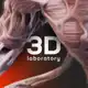 Аватар канала 3D Lab Library.stl