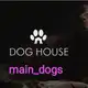 Аватар канала Main_dogs❤️