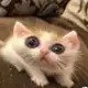 Аватар канала Ной не ныл, и ты не Ной!