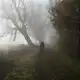 Аватар канала Хижина в туманном лесу