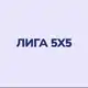Аватар канала Лига 5х5