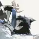 Аватар канала .◌ » :: 𝘪𝘯𝘧𝘖 𝘮𝘠𝘈𝘶𝘴𝘩
