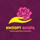 Аватар канала Импорт Флора Рязань (цветы оптом)