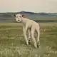 Аватар канала Кладовка Мей🫥