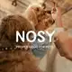 Аватар канала NOSY
