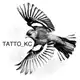 Аватар канала TATTO_KC