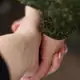 Аватар канала Дождусь тебя