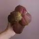 Аватар канала 300 Хой и ещё чуть-чуть🌚