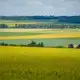 Аватар канала Farm in Russia