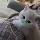 Аватар канала удачный гороскопчик