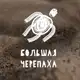 Аватар канала БОЛЬШАЯ ЧЕРЕПАХА | НОМЕРА ГЕЛЕНДЖИК