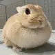 Аватар канала ㅤostatkii77